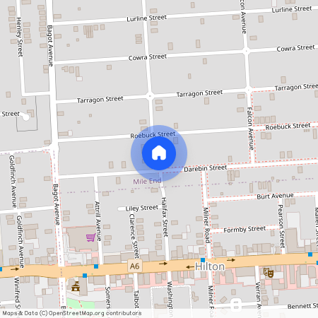 51 Ebor Avenue, SA 5031, Mile End