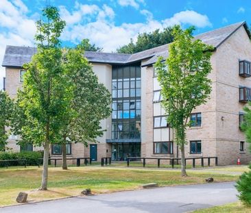Room in a Shared Flat, Leeds, LS16 - Photo 6