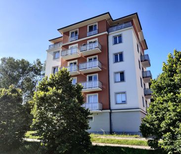 Pronájem bytu 1+kk • 26 m² bez realitkyU Boru, České Budějovice 2, ... - Photo 6