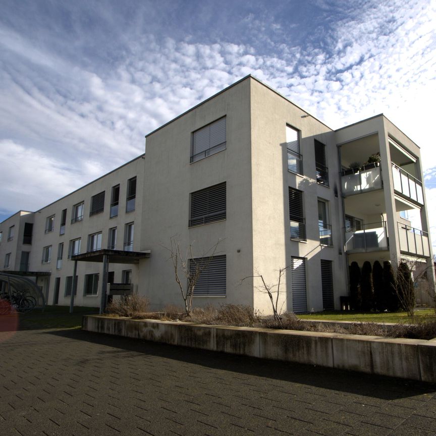 Appartement de 3.5 pièces au rez-de-chaussée à louer - Foto 1