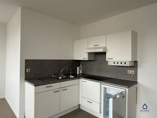 Studio met groot terras te huur in Lessines - Photo 1