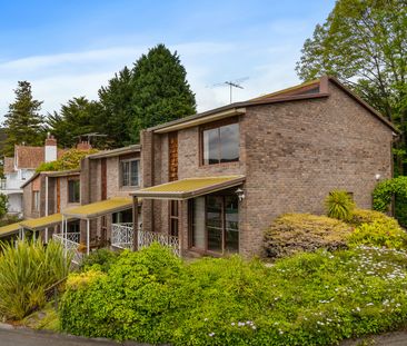 1/2 Davey Place South Hobart TAS 7004 Australia - Photo 5