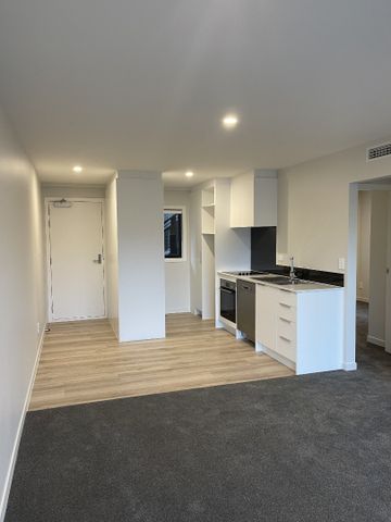 Unit 4F 16-18 Constable Street, Newtown, Wellington. - Photo 4