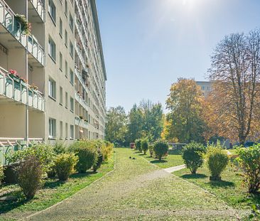 Erdgeschosswohnung in Altendorf - Photo 2