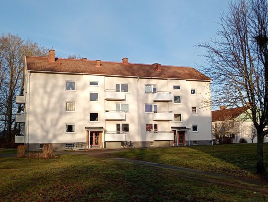 Brunnsvägen, Svängsta - Foto 1