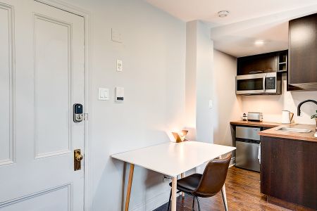 Condo à louer, Montréal (Ville-Marie) - Photo 4