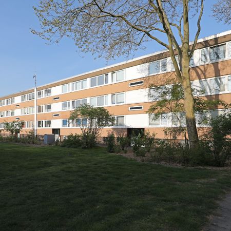 Erdgeschosswohnung mit Loggia // EG links - Photo 3