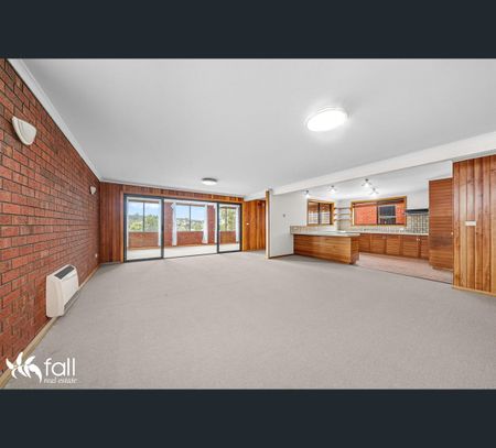 2/317 Elizabeth Street, North Hobart, Tas 7000 - Photo 3