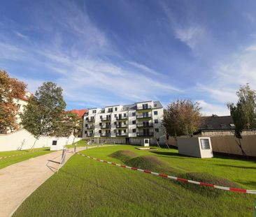 1-Zimmerwohnung mit Loggia und sehr guter Infrastruktur nahe der Do... - Photo 5