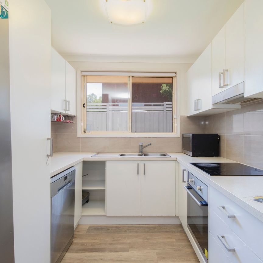 11B Turana Parade, North Lambton NSW 2299 - House For Rent | Domain - Photo 1