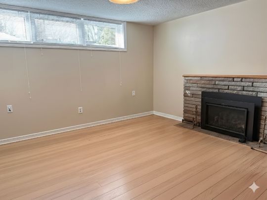 For Lease - 249 Lucas Street Unit# Lower, Richmond Hill, Ontario - Photo 1