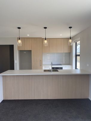 12 Marliece Street, Rolleston - Photo 1