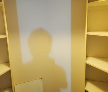 Master Bedroom to Rent - Photo 3