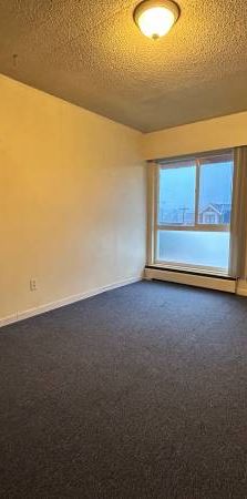 Large one bedroom apartment unit on East Broadway near Fraser st & VCC - Photo 1