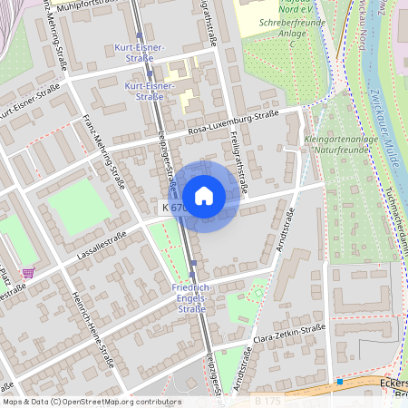 Lassallestraße 61, 08058 Zwickau