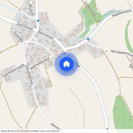 8926, Uerzlikon, Mythenblick, 8