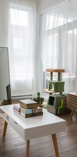 Maginifque Condo Lumineux - Photo 1