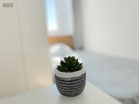 Plaza Gelo, Sevilla, Andalusia 41009 - Photo 2