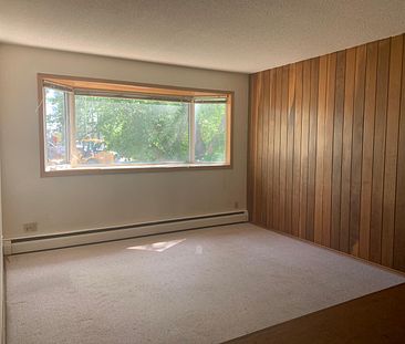 1 Bedroom Pet Friendly Apartments at Bridgeview!! - Photo 5