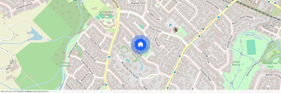 4 Shiraz Place, Henderson, Waitakere City