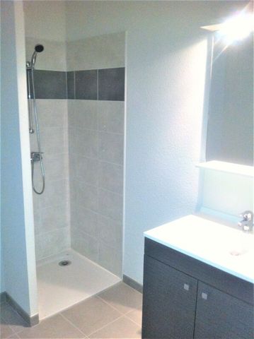 Location Appartement 1 pièce 24m² ST HERBLAIN 44800 - Photo 2