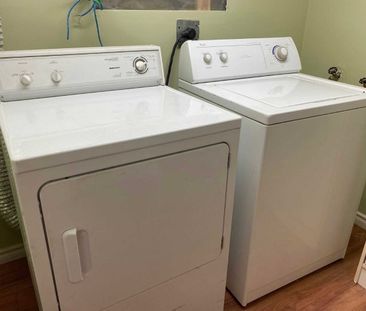 For Lease - 98 Avondale Avenue Unit# Lower, Toronto, Ontario - Photo 3