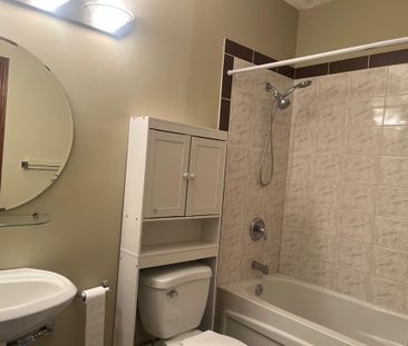 Full House in the lovely suburb of Inglewood - Photo 5