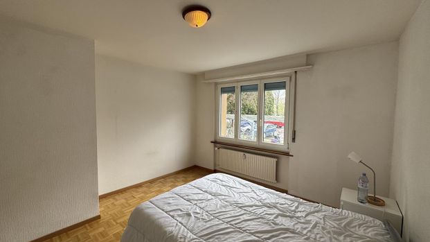 Charmant appartement de 3 pièces au rez de chaussée à Fribourg - Photo 1