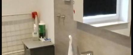 2-Raum-Wohnung in Magdeburg mit Balkon und Eckbadewanne - Foto 1