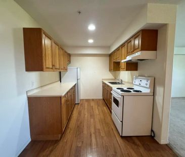 New Imperial Suites — 2 Bedroom - Photo 4