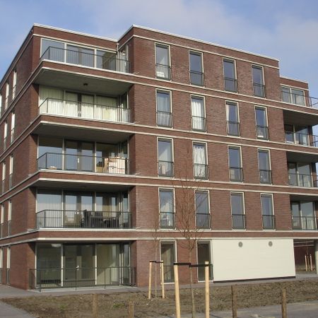 Egmondland 130, Den Hoorn - Photo 3