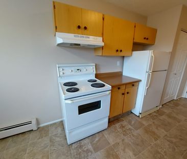 Beautiful 1 Bedroom Available Now! In Suite Laundry! - Photo 2