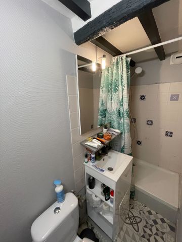 Location Appartement 1 pièce 18m² FONTAINEBLEAU 77300 - Photo 3