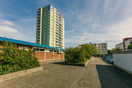 Gemütliche 1-Zimmer-Wohnung in Neustadt an der Weinstraße - Foto 2