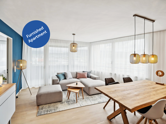 Basel-Aesch - High-quality furnished apartments near the ISB campus - Photo 1