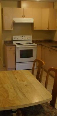 1 Bedroom and 1 Full Bathroom Basement Suite located near Fraser and M - Photo 1