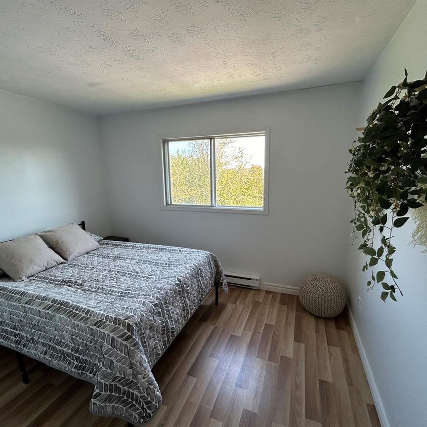 2 CH - 1 SDB - Sherbrooke - $1,150 /mo - Photo 1