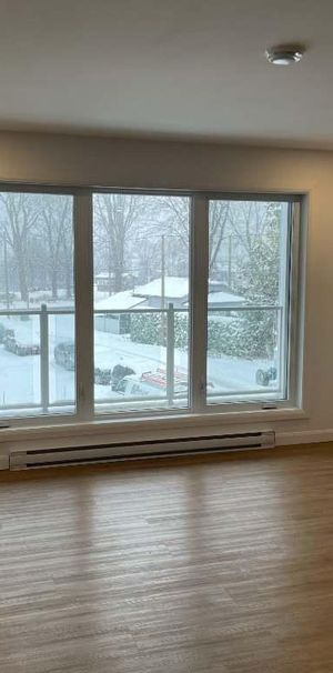 MAGNIFIQUE 5 1/2 à Venise en Québec - Photo 1