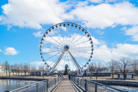 Appartement à louer, Montréal (Ville-Marie) - Photo 3
