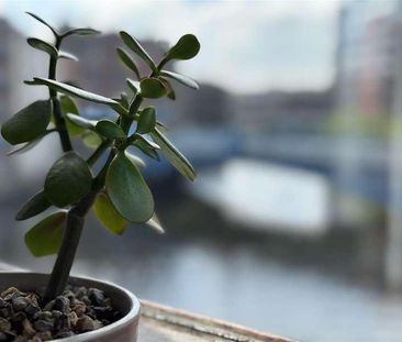 Riverside Court, Leeds, LS1 - Photo 6