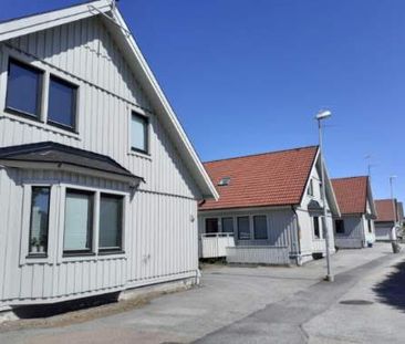 Lingonstigen, Hunnebostrand - Photo 2