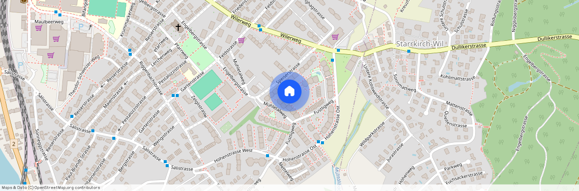 Speiserstrasse 16, 4600 Olten