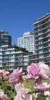 Executive Condo in Downtown Victoria - Steps from the Inner Harbour! - Photo 3