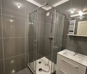 Location Appartement 5 pièces 108m² MAISONS ALFORT 94700 - Photo 3