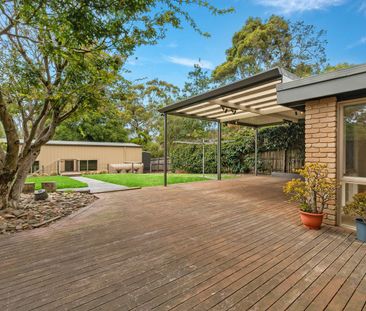 Updated Family Home in Quiet Pocket! - Photo 5