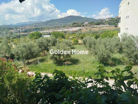 Studio/Γκαρσονιέρα για ενοικίαση Συλιβαινιώτικα (Ακράτα) - Φωτογραφία 3