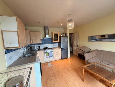 1 bedroom flat to rent - Photo 4