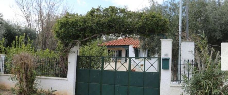 Μονοκατοικία για ενοικίαση - Σαλαμίνα, - Photo 1