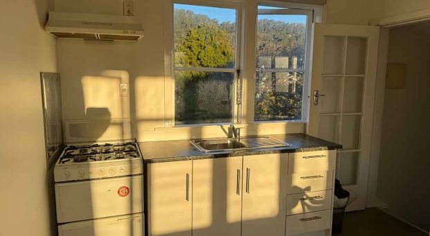 large 1 bedroom in Mt Victoria - Photo 1