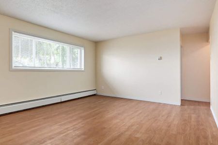 1 Bedroom - Photo 4